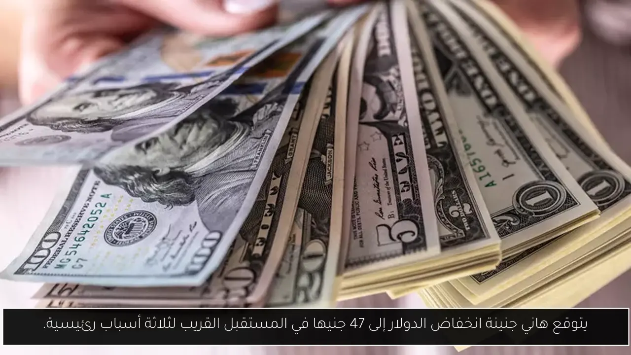 يتوقع هاني جنينة انخفاض الدولار إلى 47 جنيها في المستقبل القريب لثلاثة أسباب رئيسية.