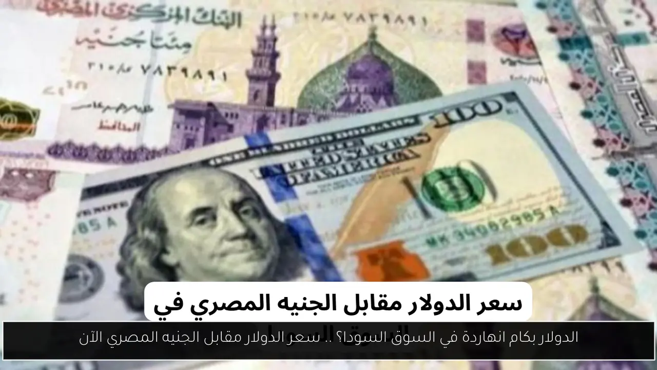 الدولار بكام انهاردة في السوق السودا؟ .. سعر الدولار مقابل الجنيه المصري الآن
