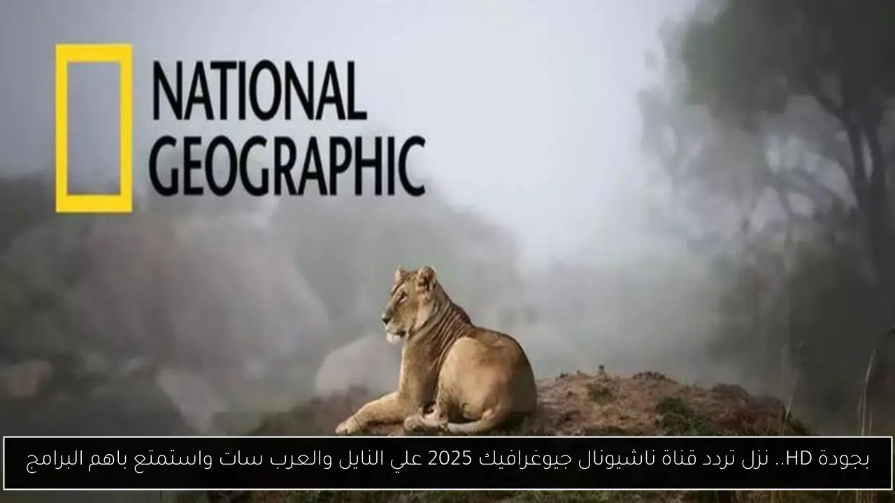 بجودة HD.. نزل تردد قناة ناشيونال جيوغرافيك 2025 علي النايل والعرب سات واستمتع باهم البرامج