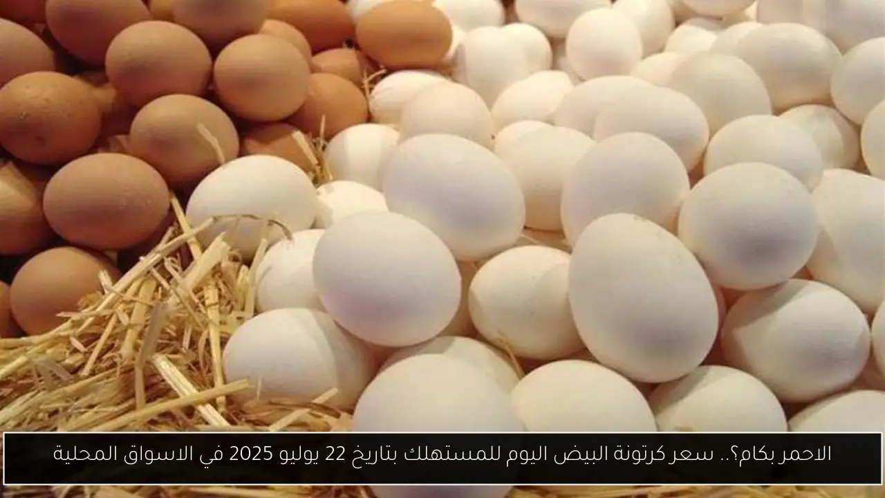 الاحمر بكام؟.. سعر كرتونة البيض اليوم للمستهلك بتاريخ 22 يوليو 2025 في الاسواق المحلية