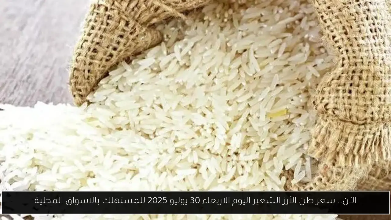 الآن.. سعر طن الأرز الشعير اليوم الاربعاء 30 يوليو 2025 للمستهلك بالاسواق المحلية