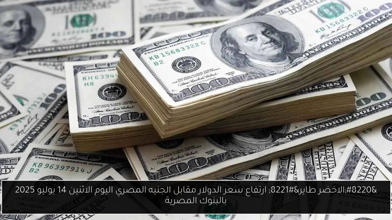 “الاخضر طاير” ارتفاع سعر الدولار مقابل الجنيه المصري اليوم الاثنين 14 يوليو 2025 بالبنوك المصرية