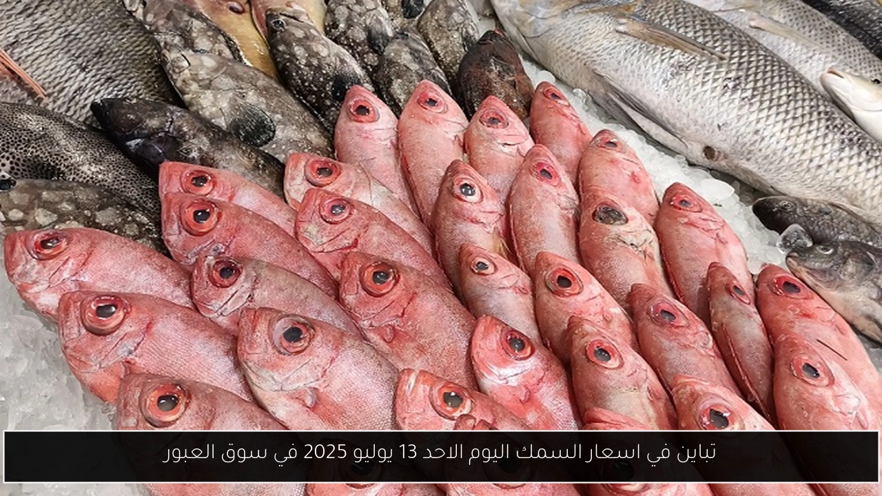 تباين في اسعار السمك اليوم الاحد 13 يوليو 2025 في سوق العبور
