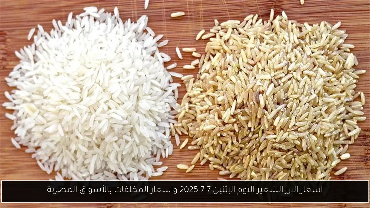 اسعار الارز الشعير اليوم الإثنين 7-7-2025 واسعار المخلفات بالأسواق المصرية