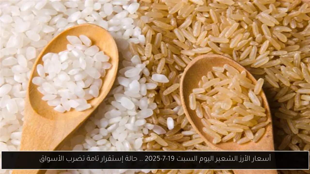 أسعار الأرز الشعير اليوم السبت 19-7-2025 .. حالة إستقرار تامة تضرب الأسواق