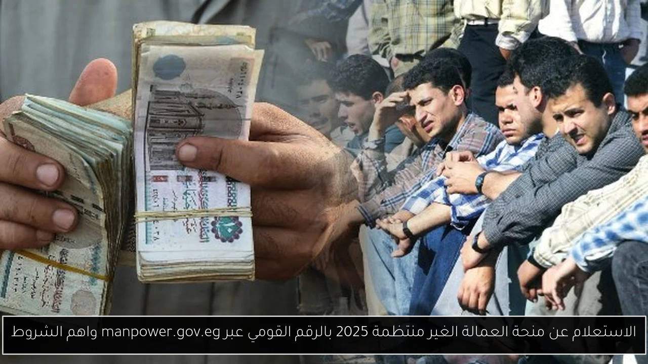 الاستعلام عن منحة العمالة الغير منتظمة 2025 بالرقم القومي عبر manpower.gov.eg واهم الشروط