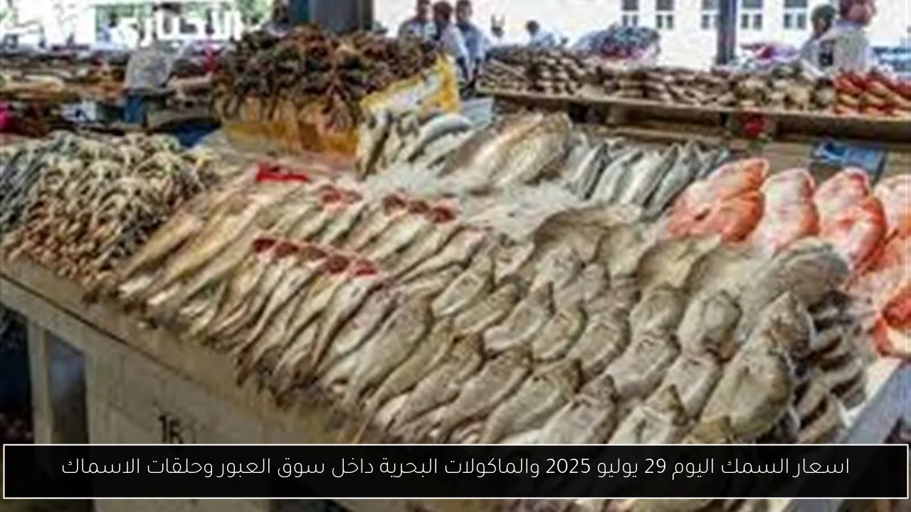 اسعار السمك اليوم 29 يوليو 2025 والماكولات البحرية داخل سوق العبور وحلقات الاسماك