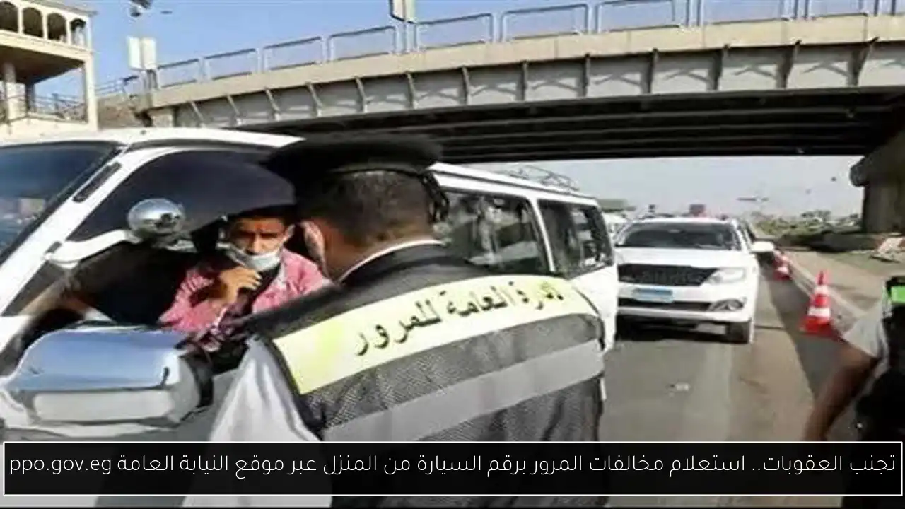 تجنب العقوبات.. استعلام مخالفات المرور برقم السيارة من المنزل عبر موقع النيابة العامة ppo.gov.eg