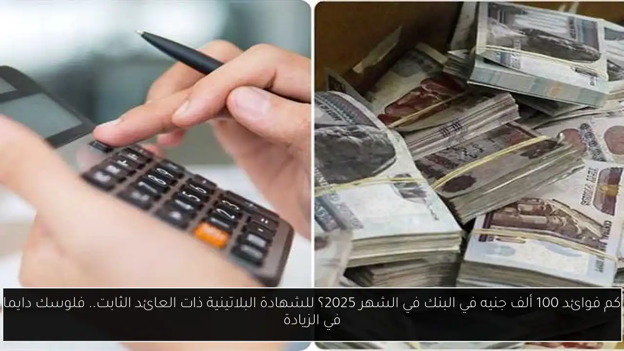 كم فوائد 100 ألف جنيه في البنك في الشهر 2025؟ للشهادة البلاتينية ذات العائد الثابت.. فلوسك دايما في الزيادة