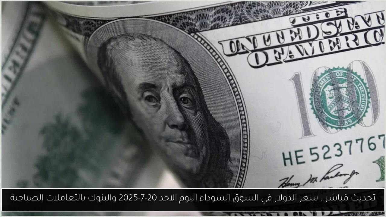 تحديث مُباشر.. سعر الدولار في السوق السوداء اليوم الاحد 20-7-2025 والبنوك بالتعاملات الصباحية