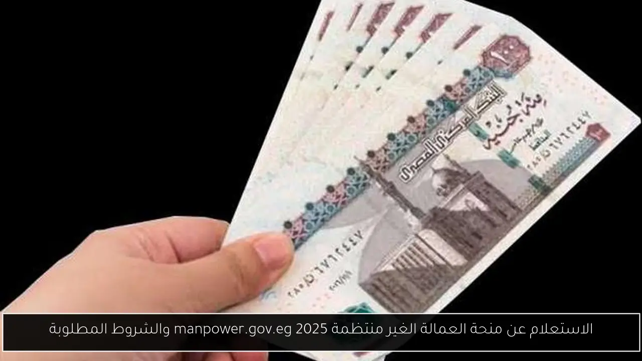 الاستعلام عن منحة العمالة الغير منتظمة 2025 manpower.gov.eg والشروط المطلوبة