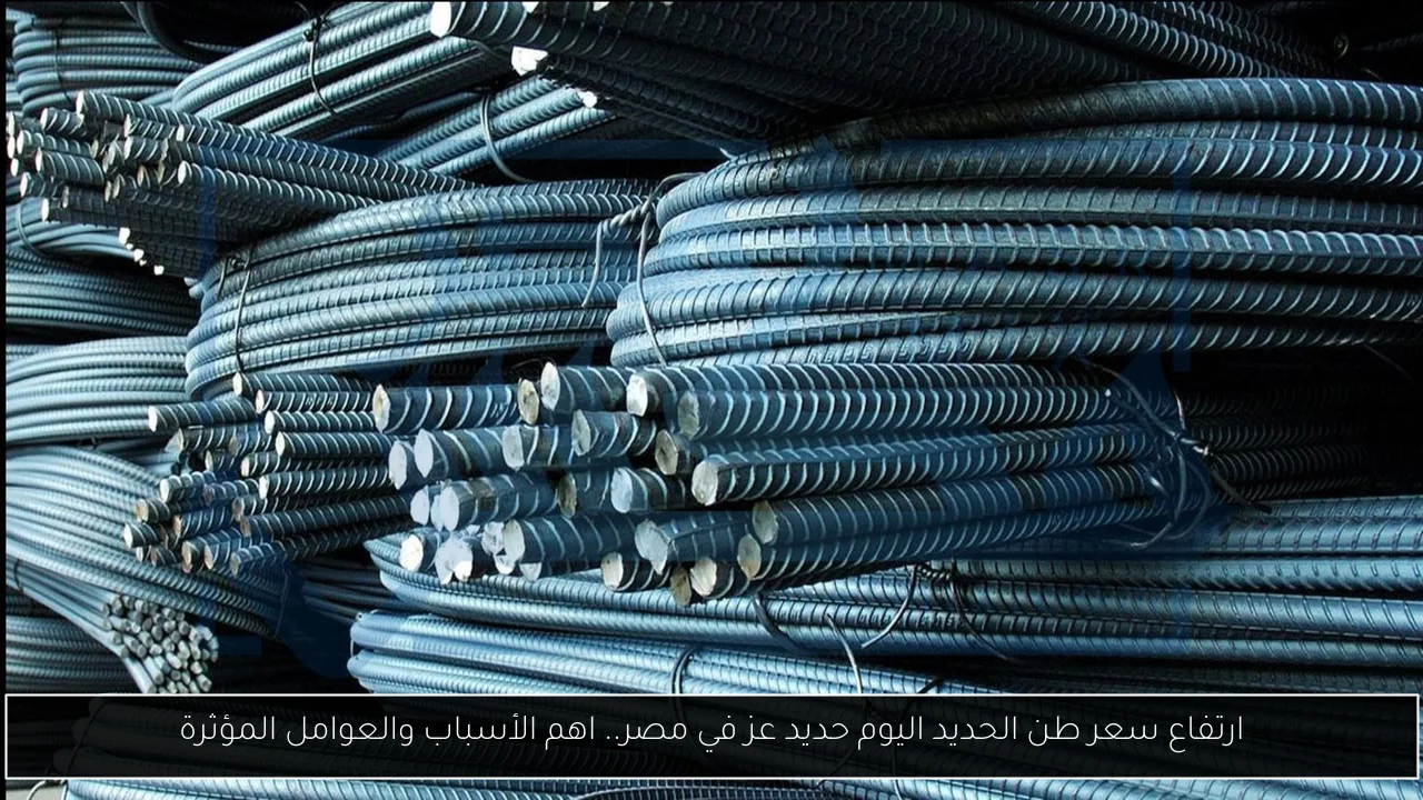 ارتفاع سعر طن الحديد اليوم حديد عز في مصر.. اهم الأسباب والعوامل المؤثرة