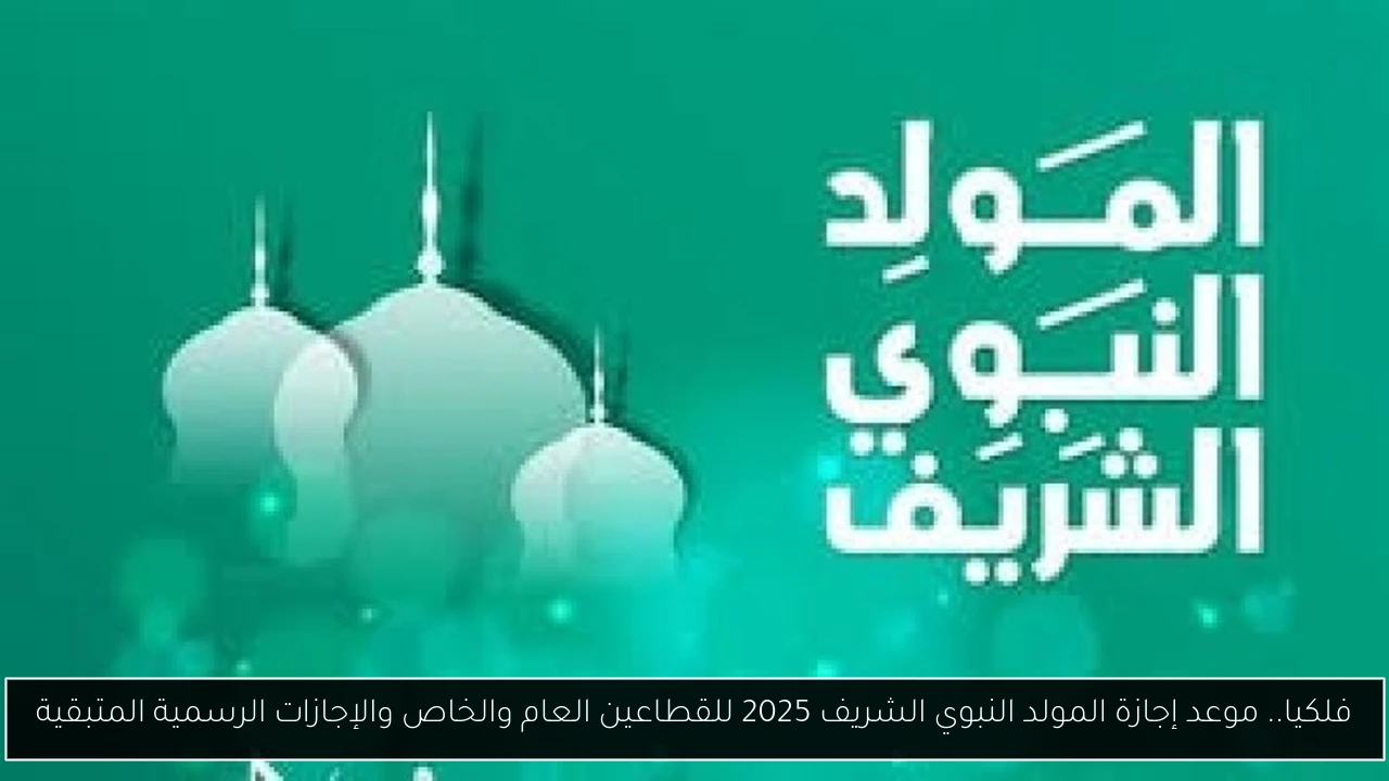 فلكيا.. موعد إجازة المولد النبوي الشريف 2025 للقطاعين العام والخاص والإجازات الرسمية المتبقية