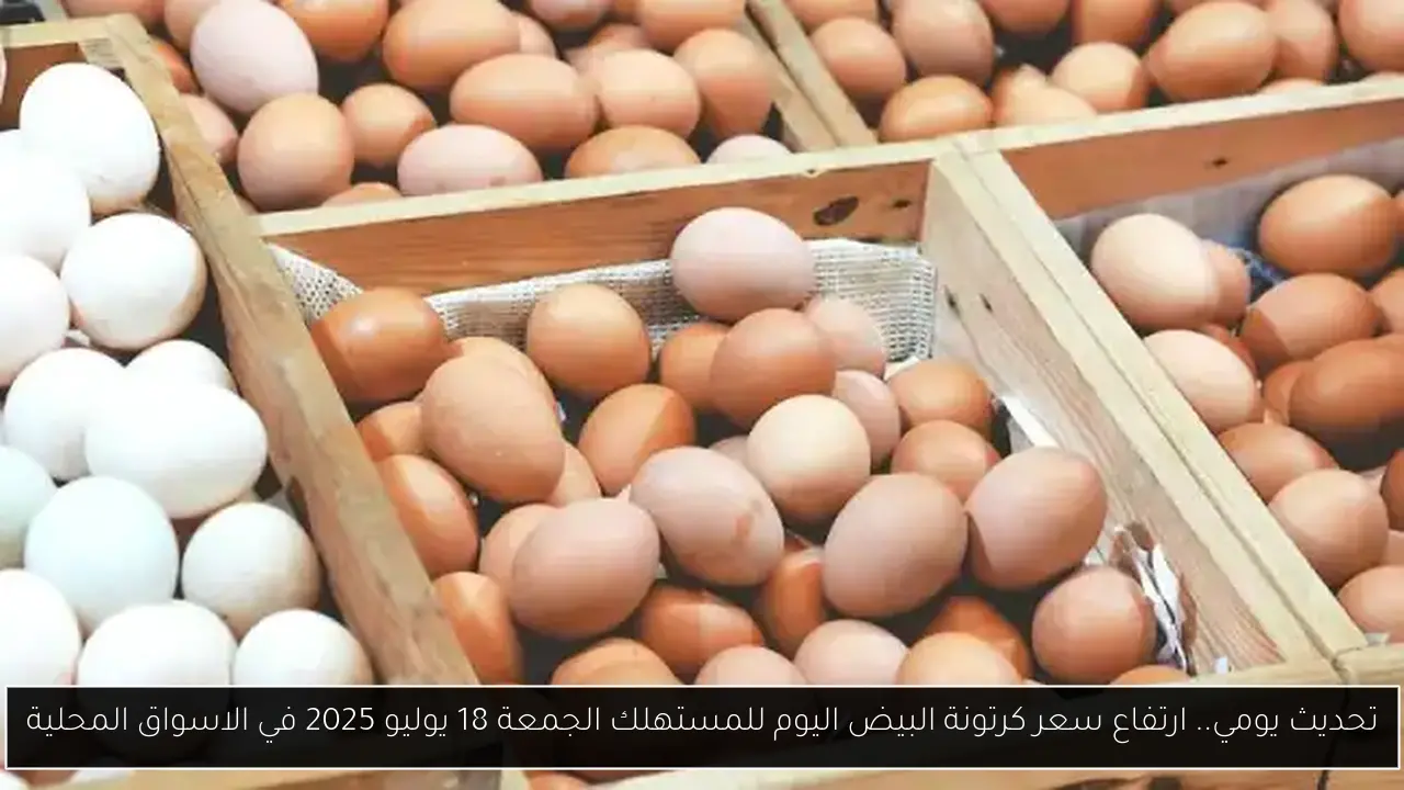 تحديث يومي.. ارتفاع سعر كرتونة البيض اليوم للمستهلك الجمعة 18 يوليو 2025 في الاسواق المحلية