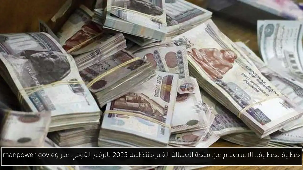 خطوة بخطوة.. الاستعلام عن منحة العمالة الغير منتظمة 2025 بالرقم القومي عبر manpower.gov.eg