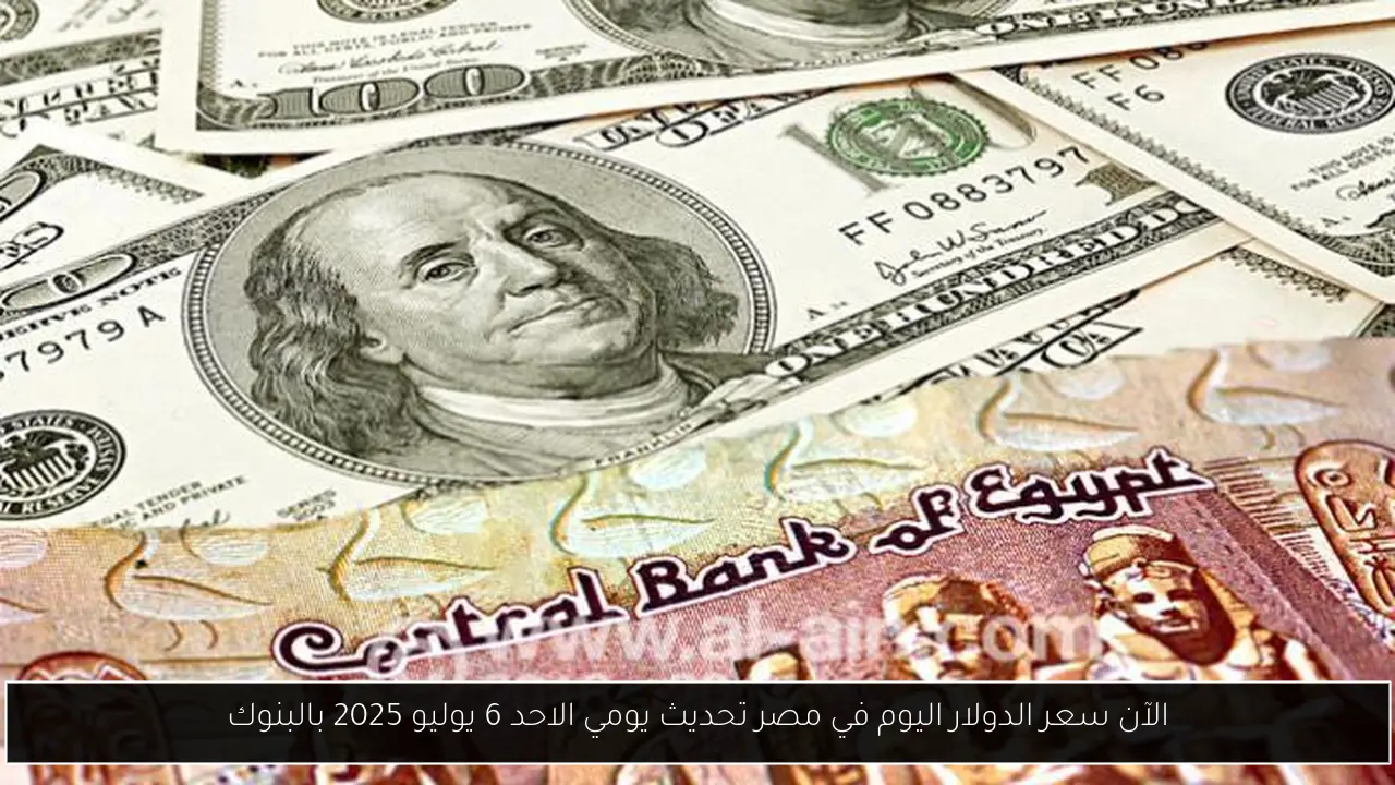الآن سعر الدولار اليوم في مصر تحديث يومي الاحد 6 يوليو 2025 بالبنوك