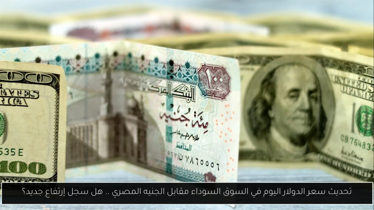 تحديث سعر الدولار اليوم في السوق السوداء مقابل الجنيه المصري .. هل سجل إرتفاع جديد؟