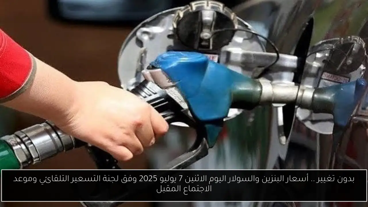 خطوات الاستعلام عن نتيجه الدبلوم الفني 2025 برقم الجلوس فور اعتمادها (الموعد والرابط)