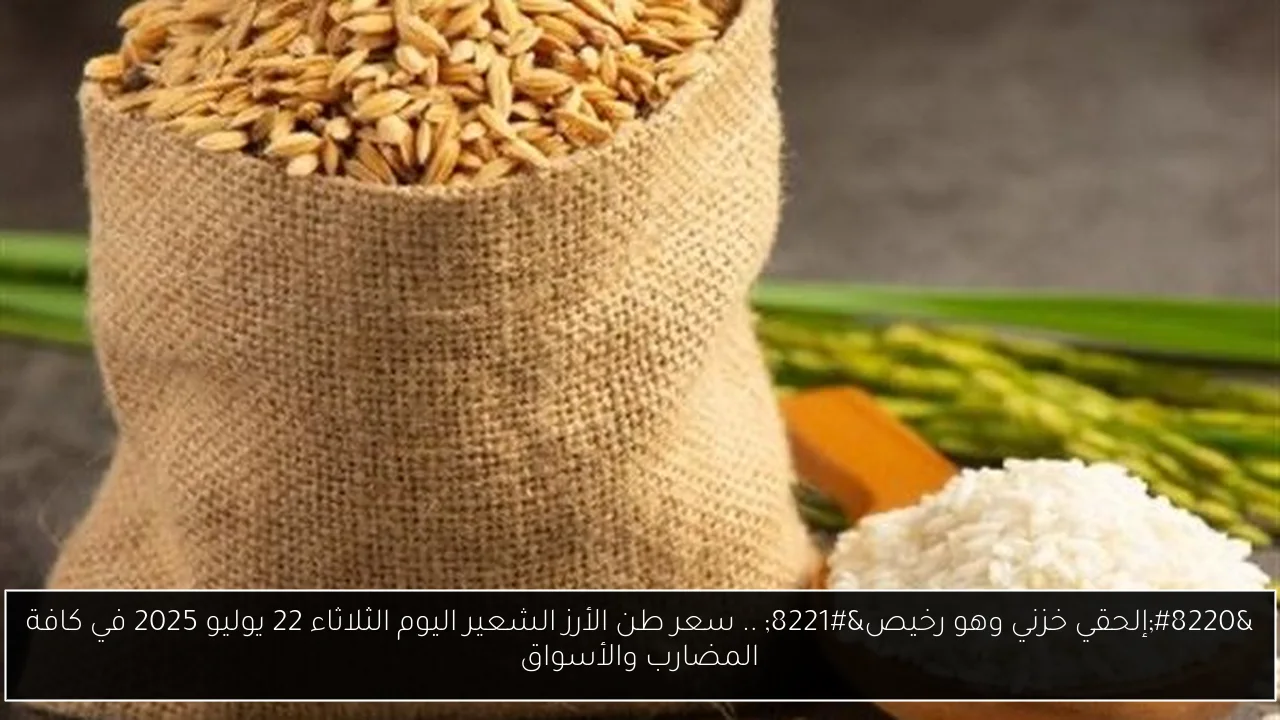 “إلحقي خزني وهو رخيص” .. سعر طن الأرز الشعير اليوم الثلاثاء 22 يوليو 2025 في كافة المضارب والأسواق