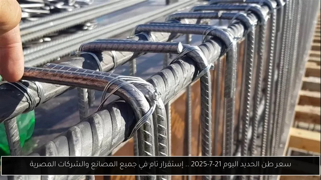 سعر طن الحديد اليوم 21-7-2025 .. إستقرار تام في جميع المصانع والشركات المصرية