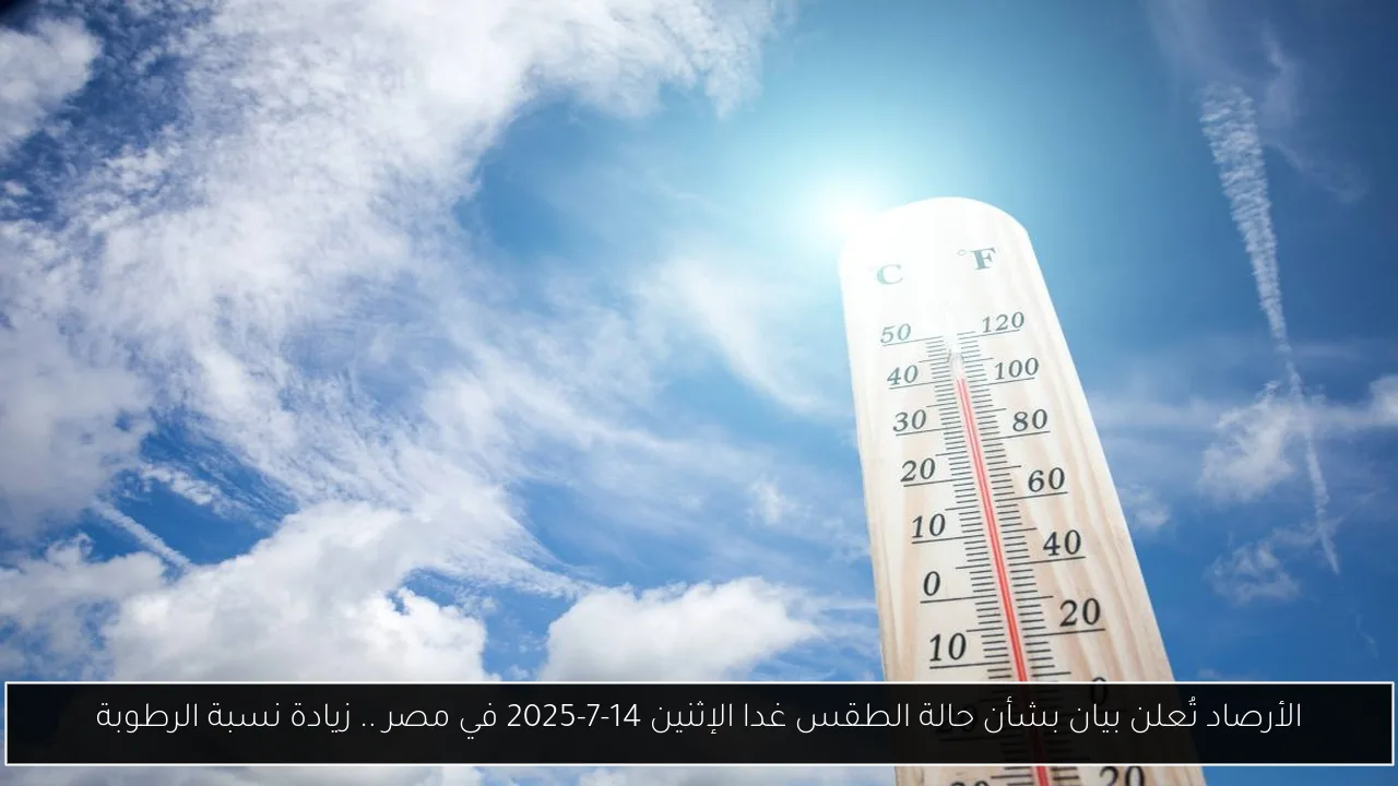 الأرصاد تُعلن بيان بشأن حالة الطقس غدا الإثنين 14-7-2025 في مصر .. زيادة نسبة الرطوبة