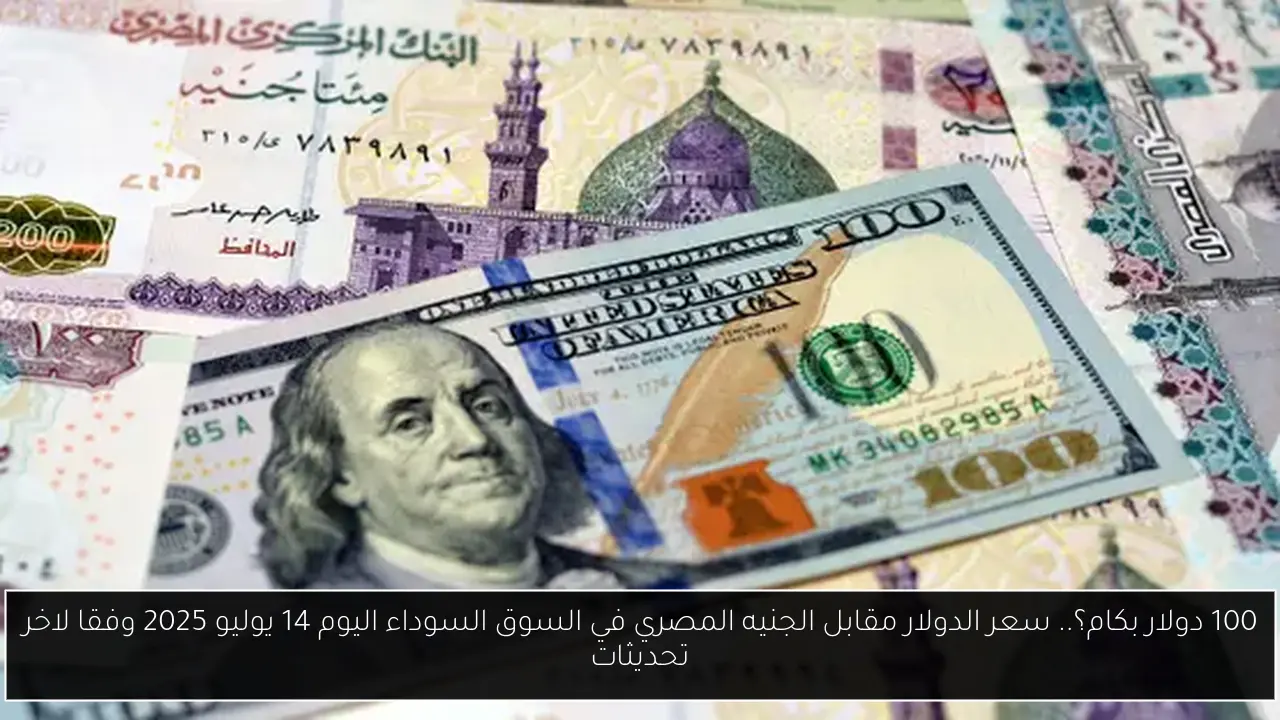 100 دولار بكام؟.. سعر الدولار مقابل الجنيه المصري في السوق السوداء اليوم 14 يوليو 2025 وفقا لاخر تحديثات