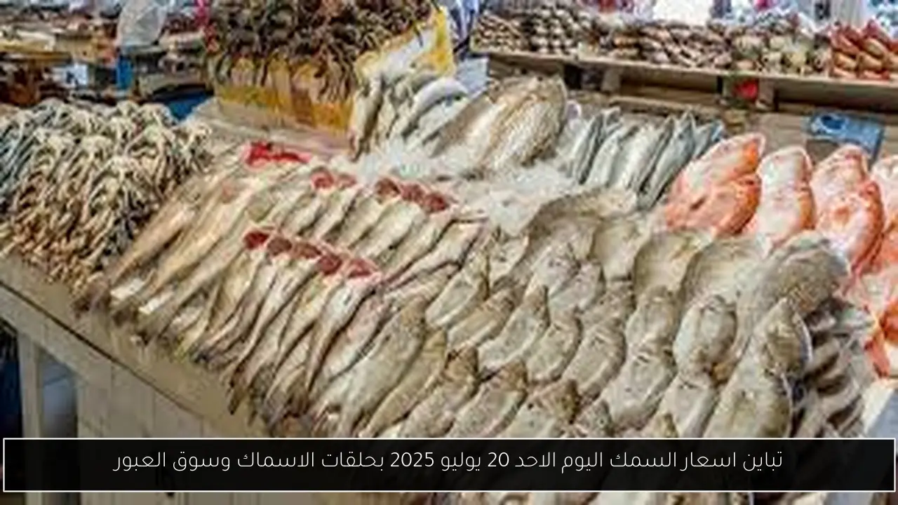تباين اسعار السمك اليوم الاحد 20 يوليو 2025 بحلقات الاسماك وسوق العبور