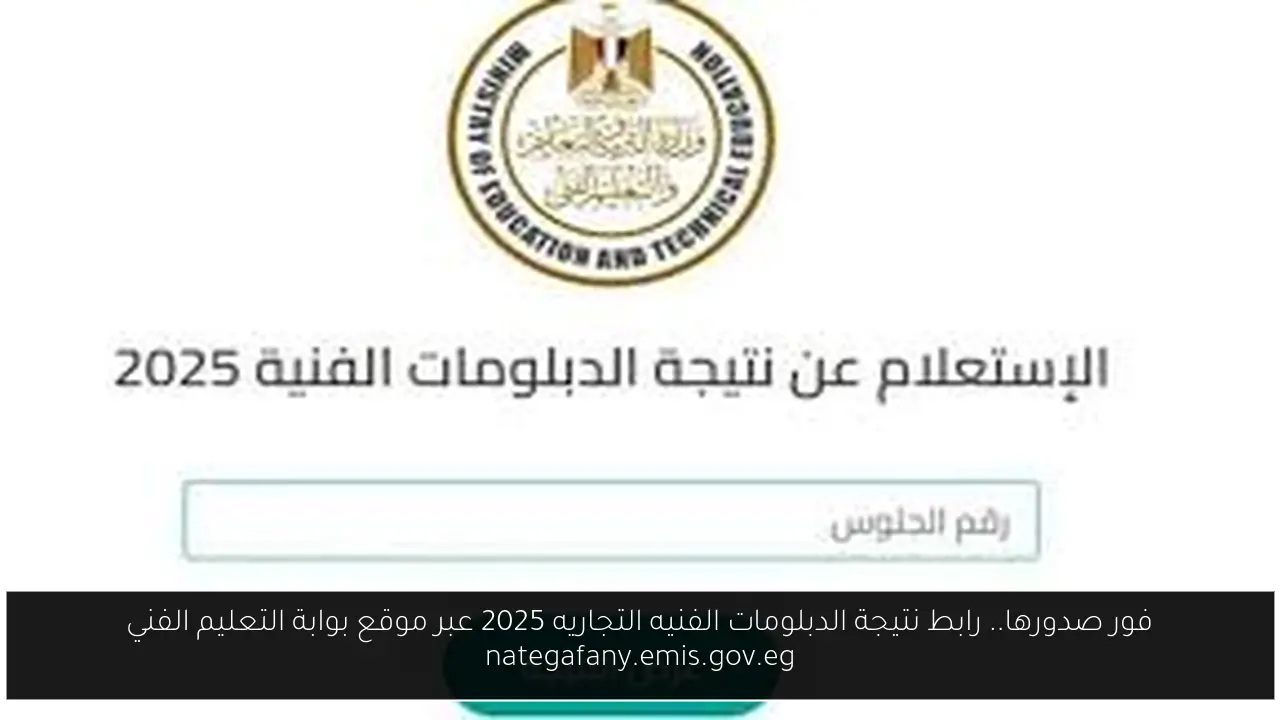 فور صدورها.. رابط نتيجة الدبلومات الفنيه التجاريه 2025 عبر موقع بوابة التعليم الفني nategafany.emis.gov.eg