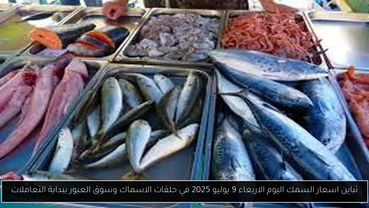 تباين اسعار السمك اليوم الاربعاء 9 يوليو 2025 في حلقات الاسماك وسوق العبور ببداية التعاملات