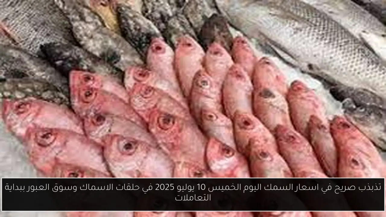 تذبذب صريح في اسعار السمك اليوم الخميس 10 يوليو 2025 في حلقات الاسماك وسوق العبور ببداية التعاملات