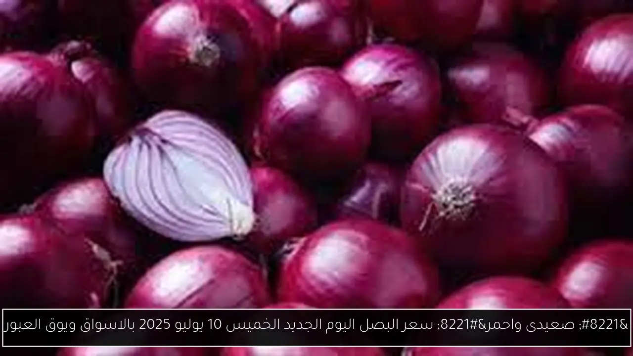 ” صعيدى واحمر” سعر البصل اليوم الجديد الخميس 10 يوليو 2025 بالاسواق ويوق العبور