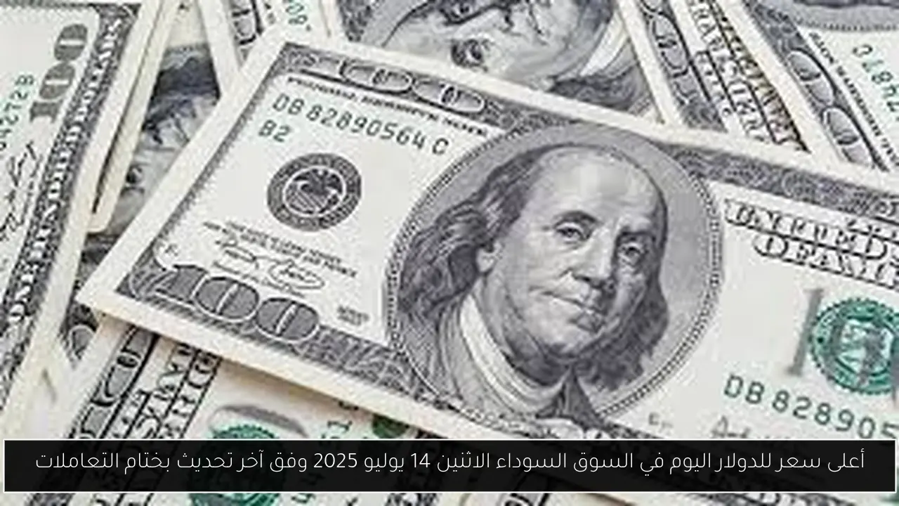 أعلى سعر للدولار اليوم في السوق السوداء الاثنين 14 يوليو 2025 وفق آخر تحديث بختام التعاملات