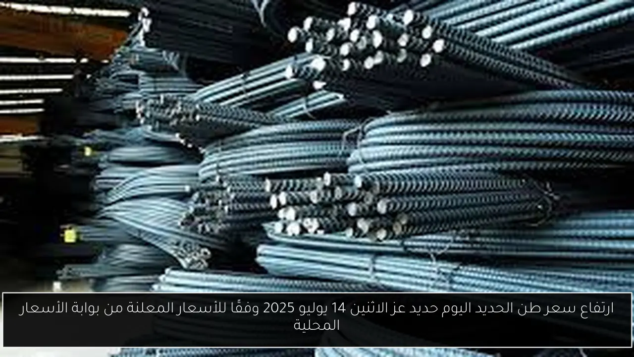 ارتفاع سعر طن الحديد اليوم حديد عز الاثنين 14 يوليو 2025 وفقًا للأسعار المعلنة من بوابة الأسعار المحلية