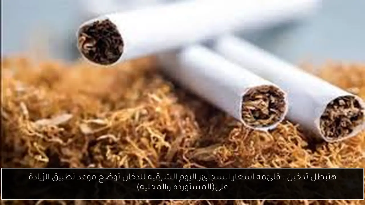 هتبطل تدخين.. قائمة اسعار السجائر اليوم الشرقيه للدخان توضح موعد تطبيق الزيادة على(المستورده والمحليه)