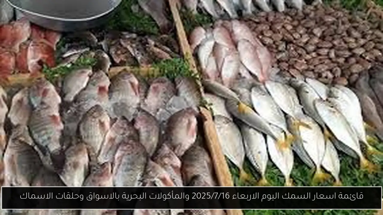 قائمة اسعار السمك اليوم الاربعاء 2025/7/16 والمأكولات البحرية بالاسواق وحلقات الاسماك