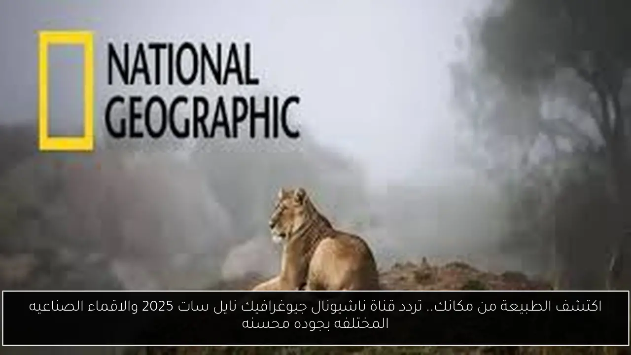 اكتشف الطبيعة من مكانك.. تردد قناة ناشيونال جيوغرافيك نايل سات 2025 والاقماء الصناعيه المختلفه بجوده محسنه
