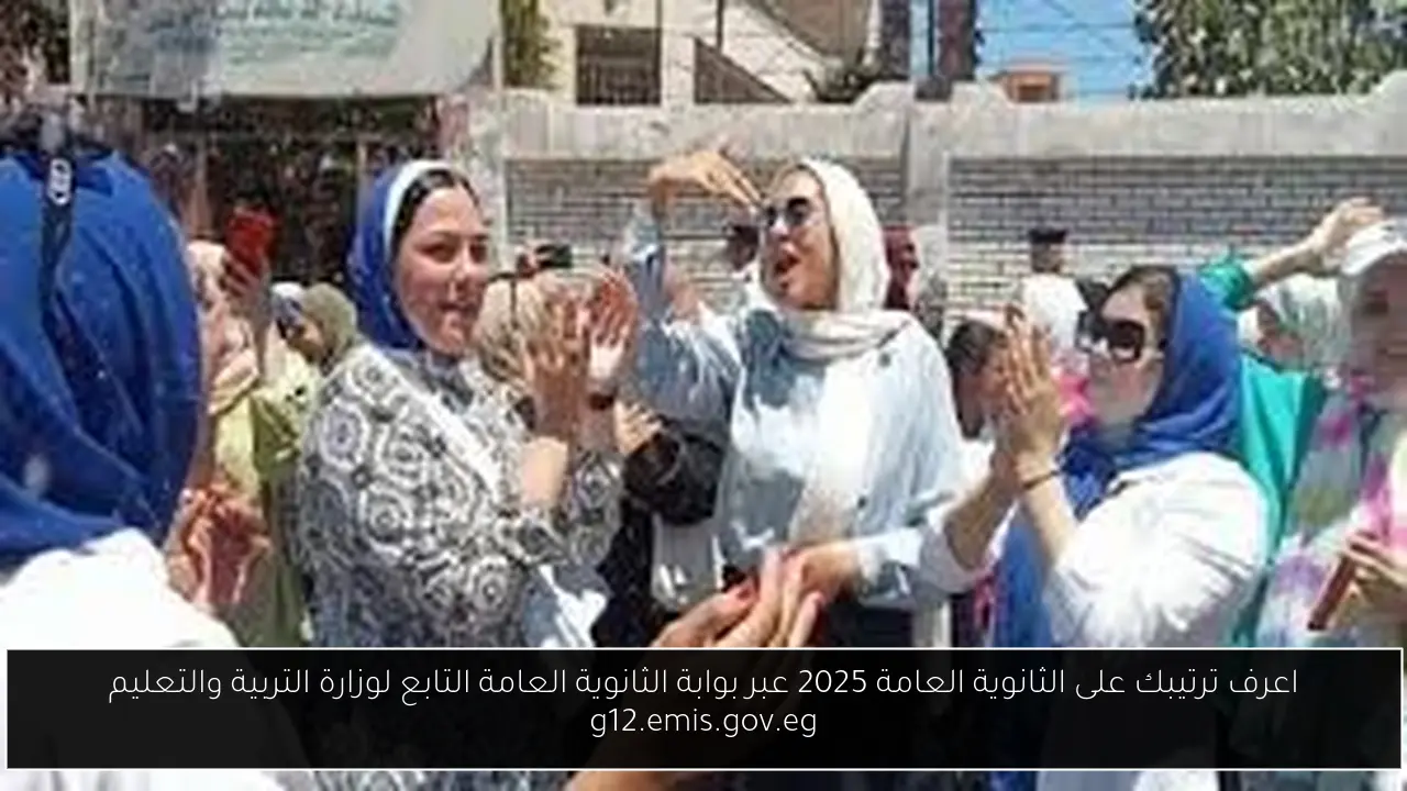 اعرف ترتيبك على الثانوية العامة 2025 عبر بوابة الثانوية العامة التابع لوزارة التربية والتعليم g12.emis.gov.eg