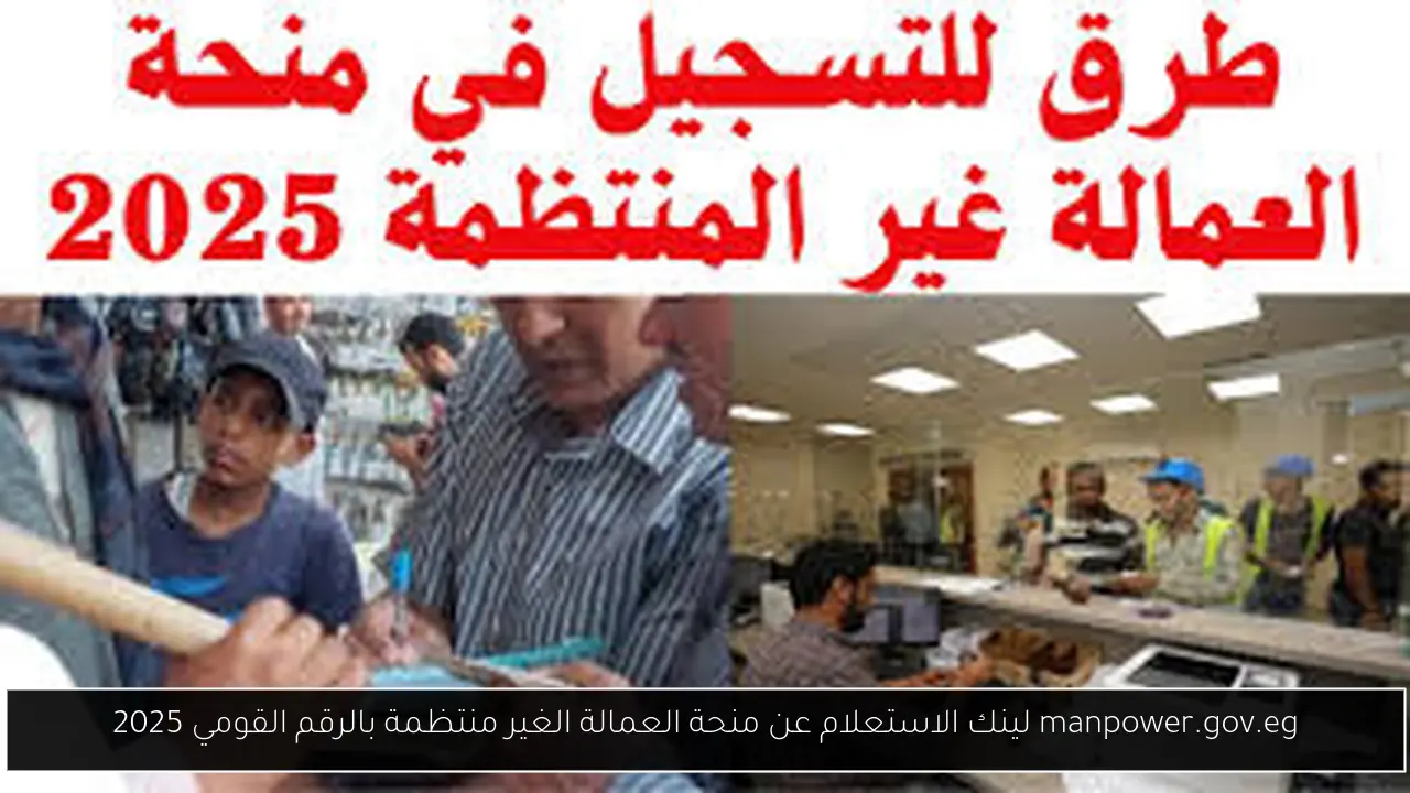 manpower.gov.eg لينك الاستعلام عن منحة العمالة الغير منتظمة بالرقم القومي 2025