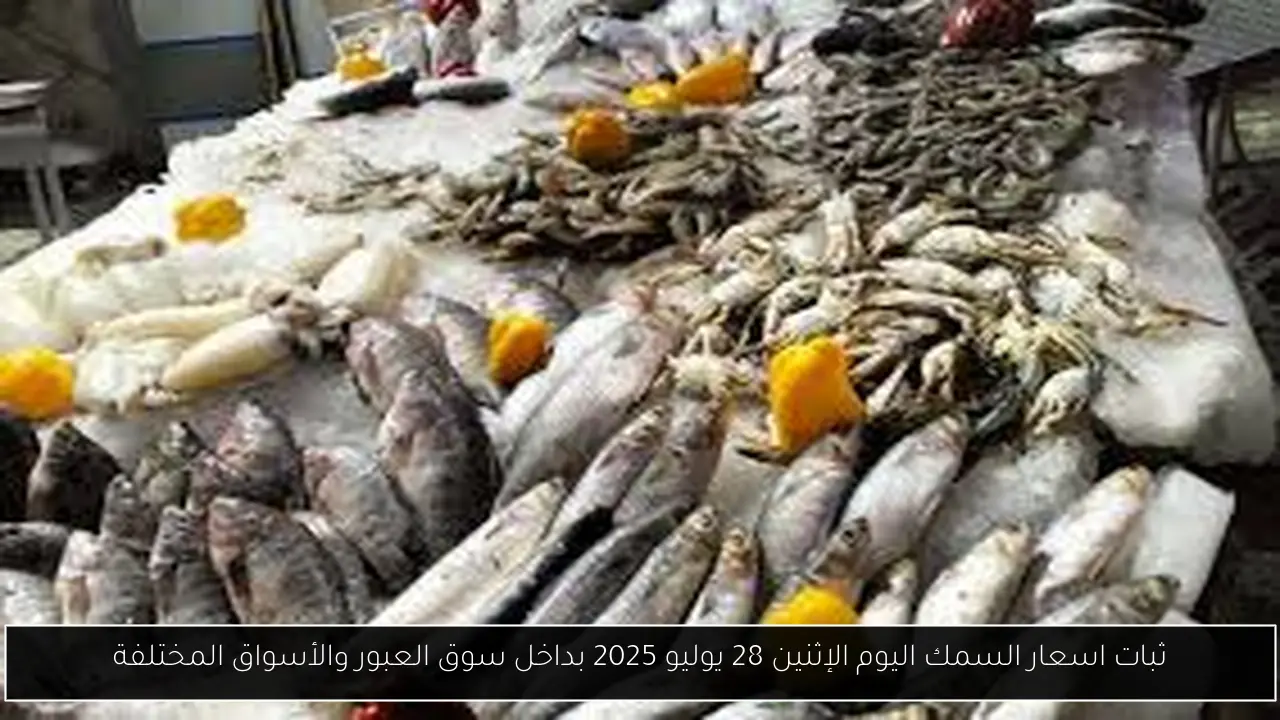ثبات اسعار السمك اليوم الإثنين 28 يوليو 2025 بداخل سوق العبور والأسواق المختلفة