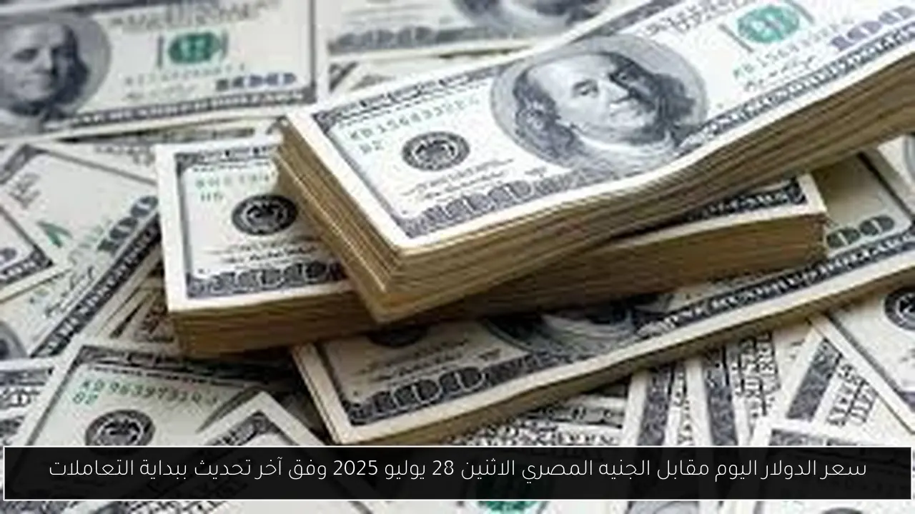 سعر الدولار اليوم مقابل الجنيه المصري الاثنين 28 يوليو 2025 وفق آخر تحديث ببداية التعاملات