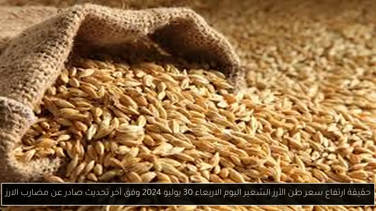 حقيقة ارتفاع سعر طن الأرز الشعير اليوم الاربعاء 30 يوليو 2024 وفق آخر تحديث صادر عن مضارب الارز