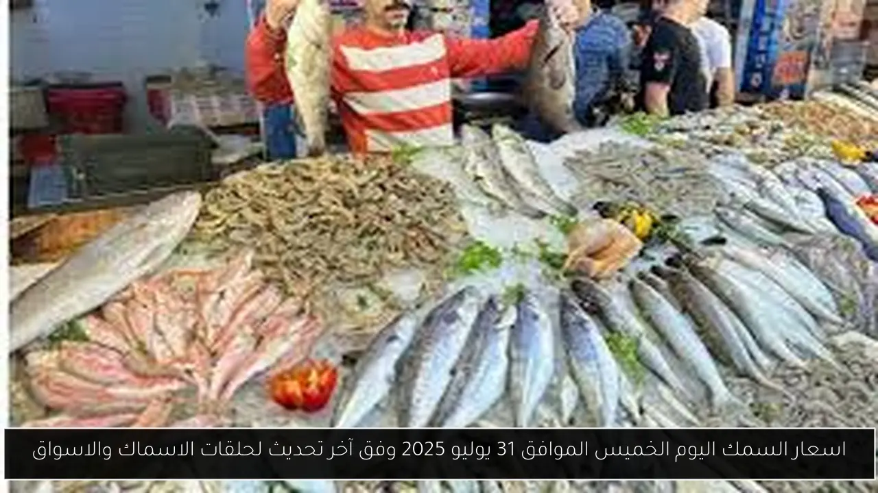 اسعار السمك اليوم الخميس الموافق 31 يوليو 2025 وفق آخر تحديث لحلقات الاسماك والاسواق