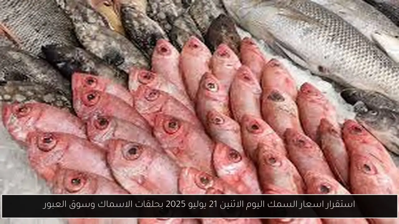 استقرار اسعار السمك اليوم الاثنين 21 يوليو 2025 بحلقات الاسماك وسوق العبور