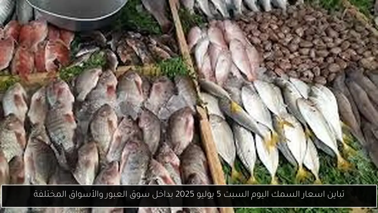 تباين اسعار السمك اليوم السبت 5 يوليو 2025 بداخل سوق العبور والأسواق المختلفة
