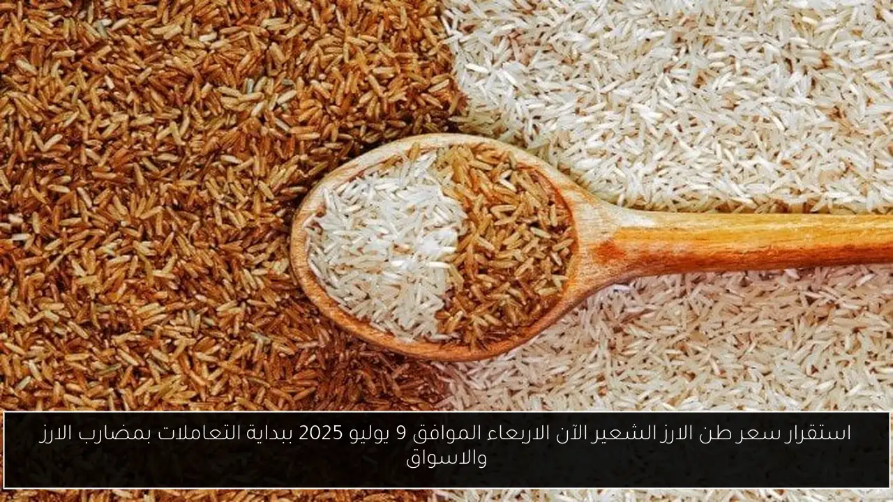 استقرار سعر طن الارز الشعير الآن الاربعاء الموافق 9 يوليو 2025 ببداية التعاملات بمضارب الارز والاسواق