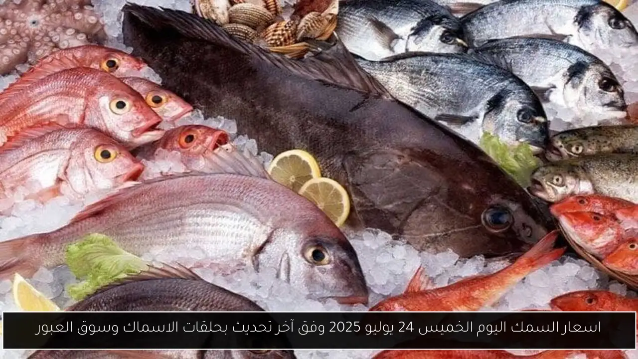 اسعار السمك اليوم الخميس 24 يوليو 2025 وفق آخر تحديث بحلقات الاسماك وسوق العبور