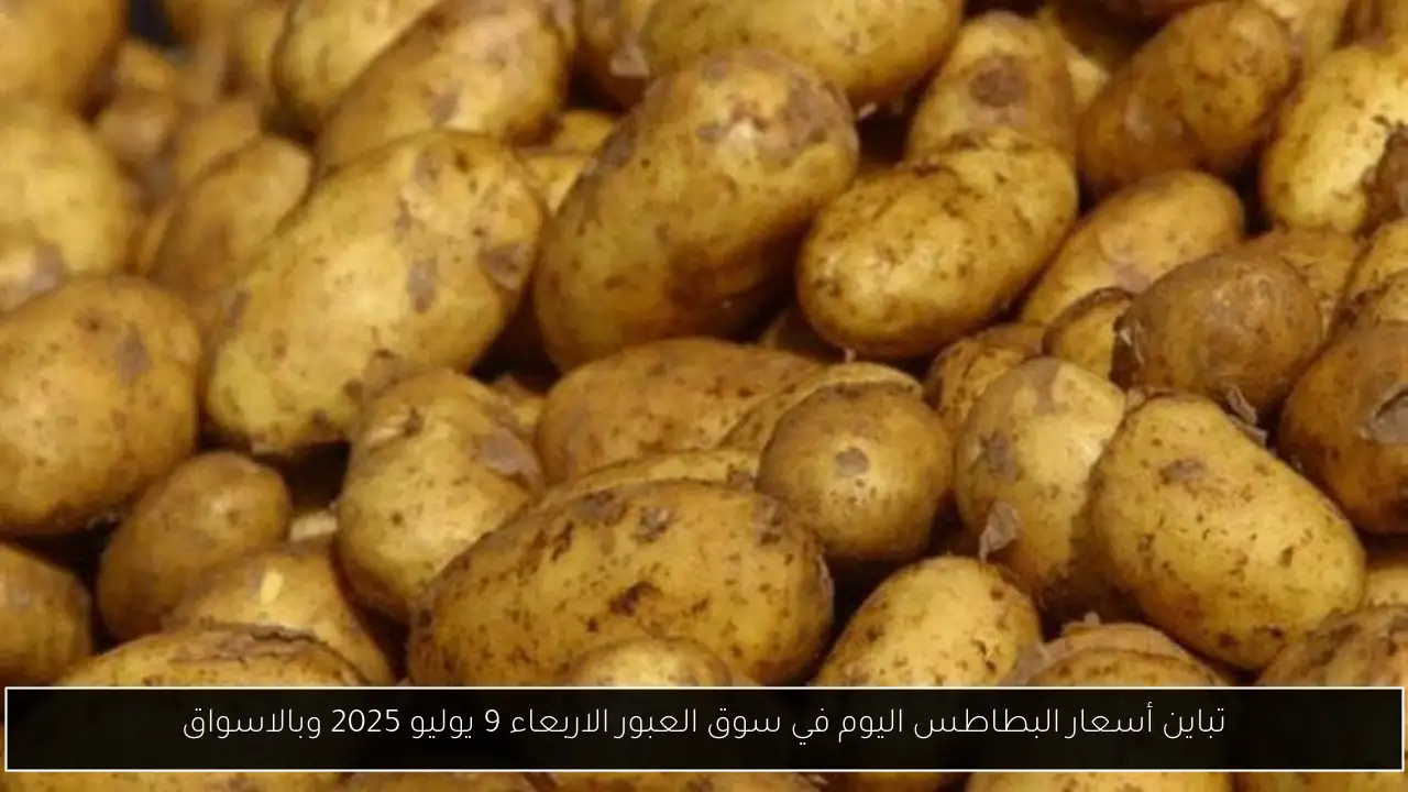 تباين أسعار البطاطس اليوم في سوق العبور الاربعاء 9 يوليو 2025 وبالاسواق