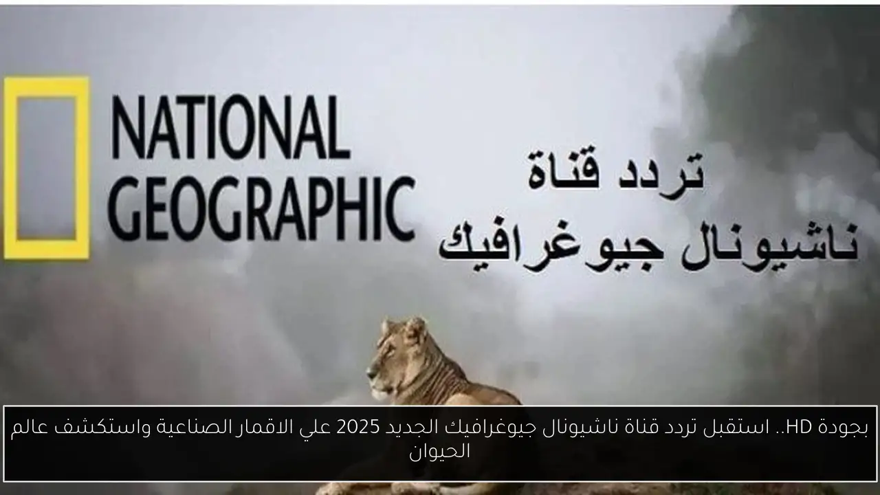 بجودة HD.. استقبل تردد قناة ناشيونال جيوغرافيك الجديد 2025 علي الاقمار الصناعية واستكشف عالم الحيوان