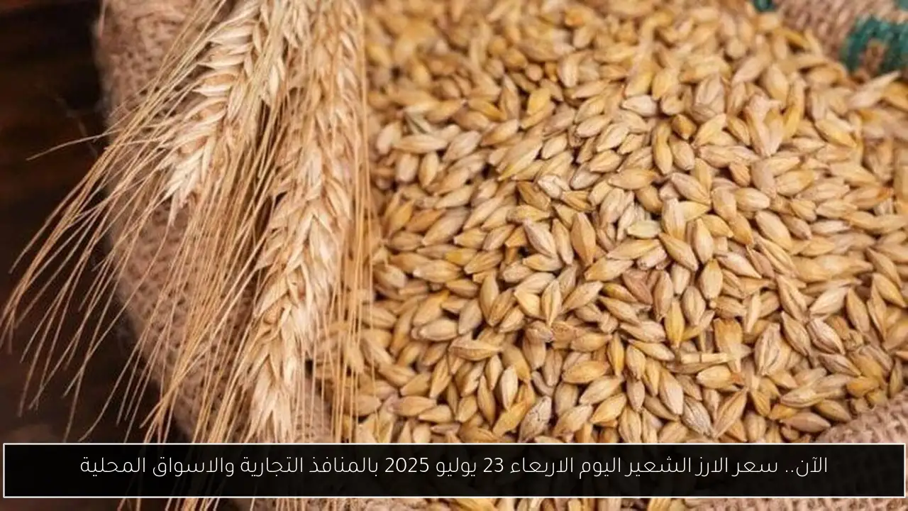 الآن.. سعر الارز الشعير اليوم الاربعاء 23 يوليو 2025 بالمنافذ التجارية والاسواق المحلية