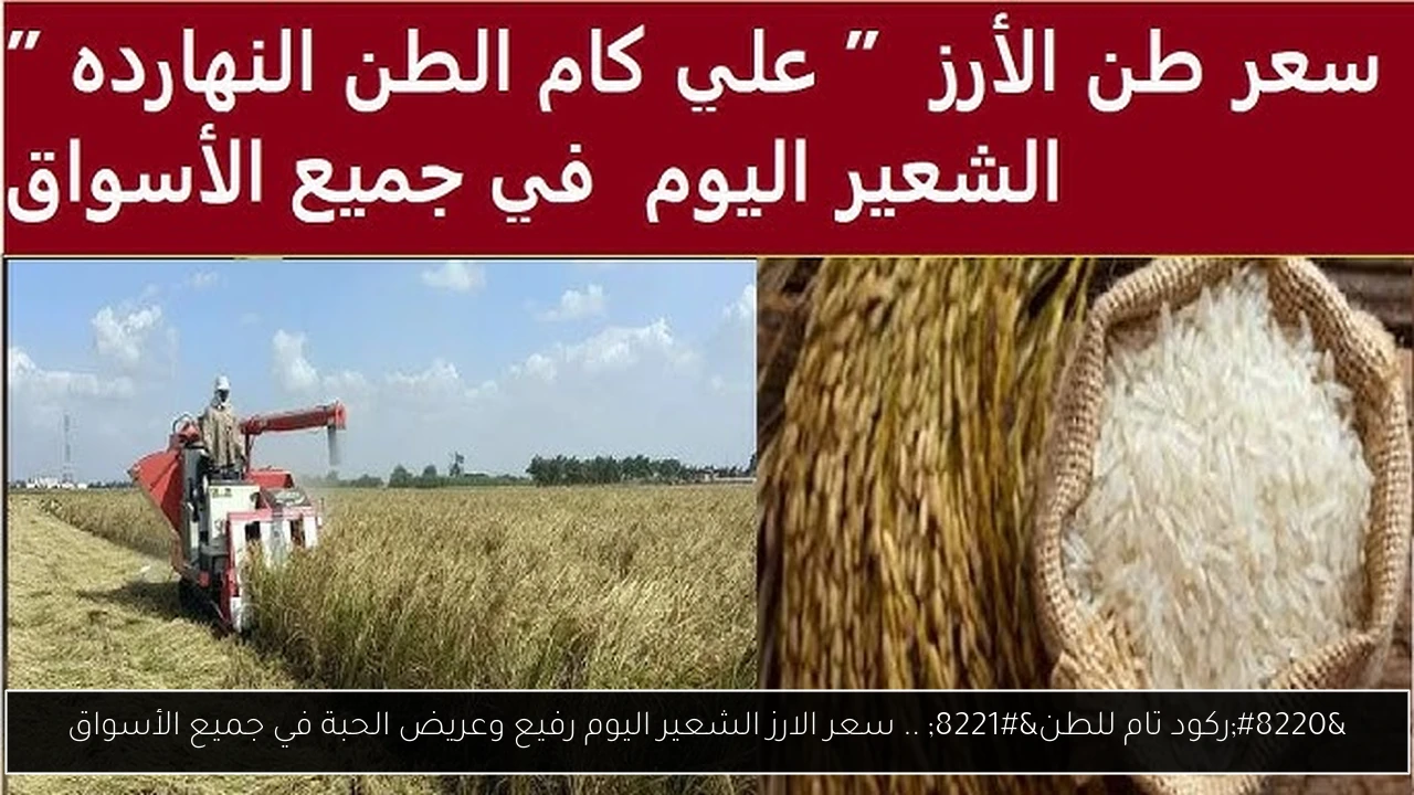 “ركود تام للطن” .. سعر الارز الشعير اليوم رفيع وعريض الحبة في جميع الأسواق